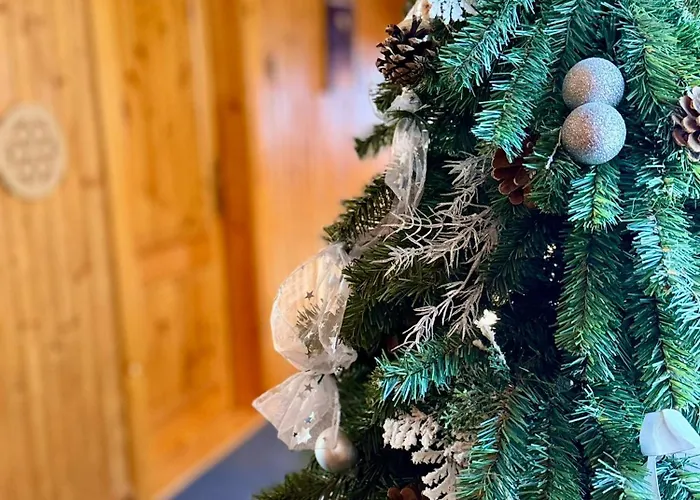 Bed & Breakfast Drevenica Diana